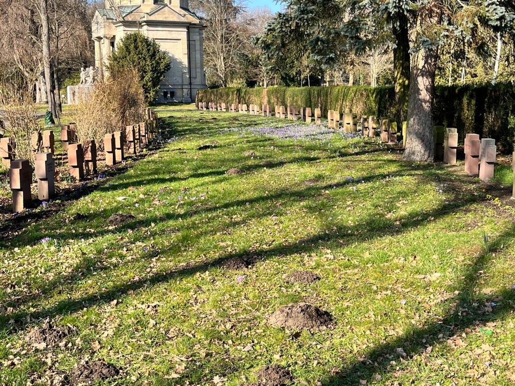 23-02-13 13-00-58 4193